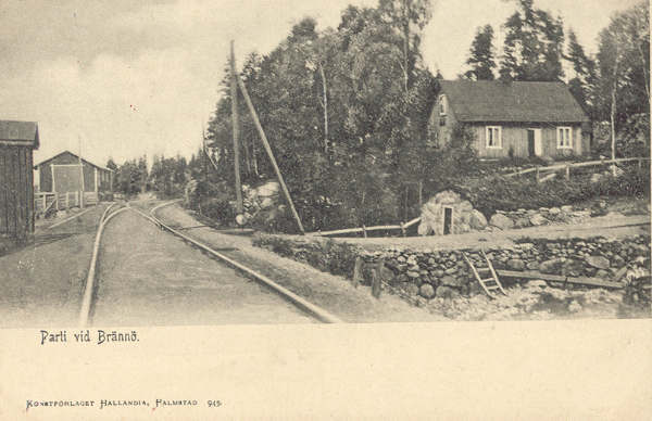 brjvg600.jpg (35765 bytes)