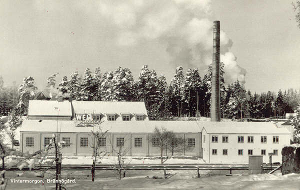 brvint600.jpg (37929 bytes)