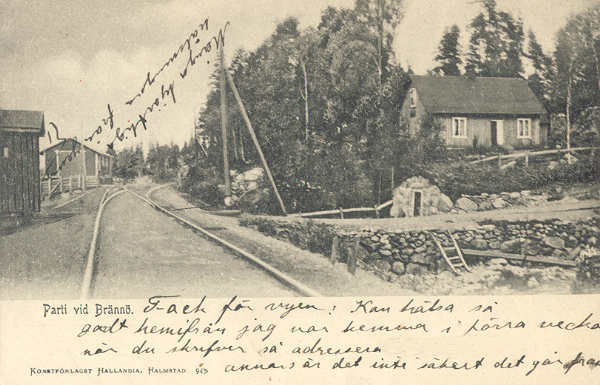 ekbrjvg600.jpg (37502 bytes)