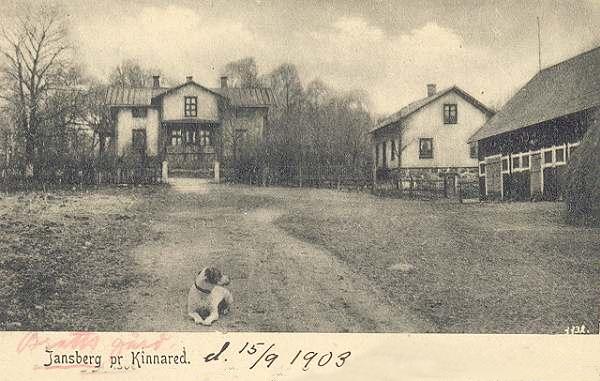 hyja600.jpg (50770 bytes)