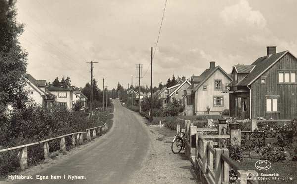 hynycy600.jpg (29820 bytes)