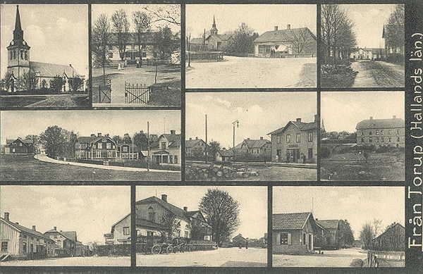 tofl600.jpg (40881 bytes)